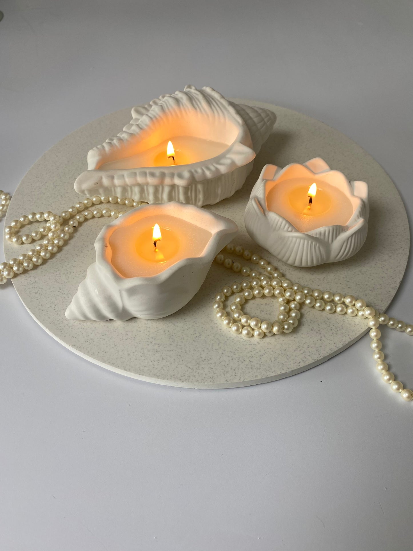 The Shell Collection
