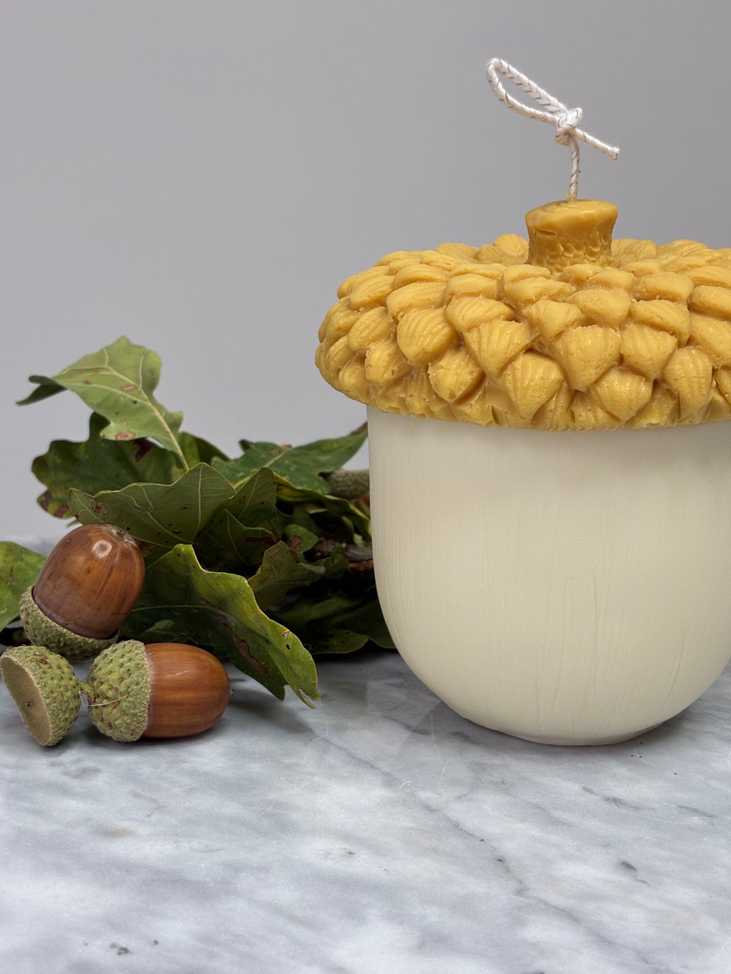 The Acorn