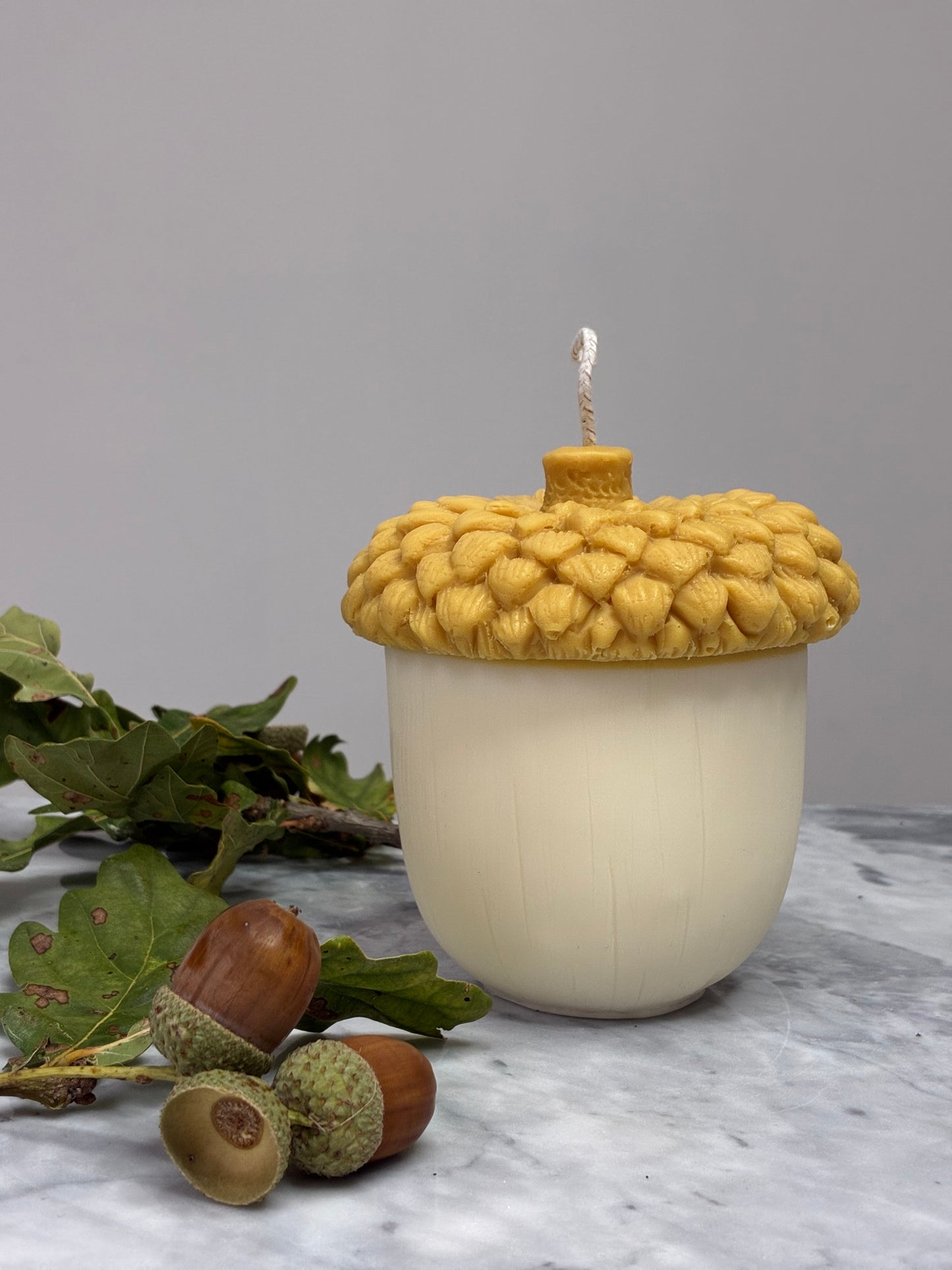 The Acorn