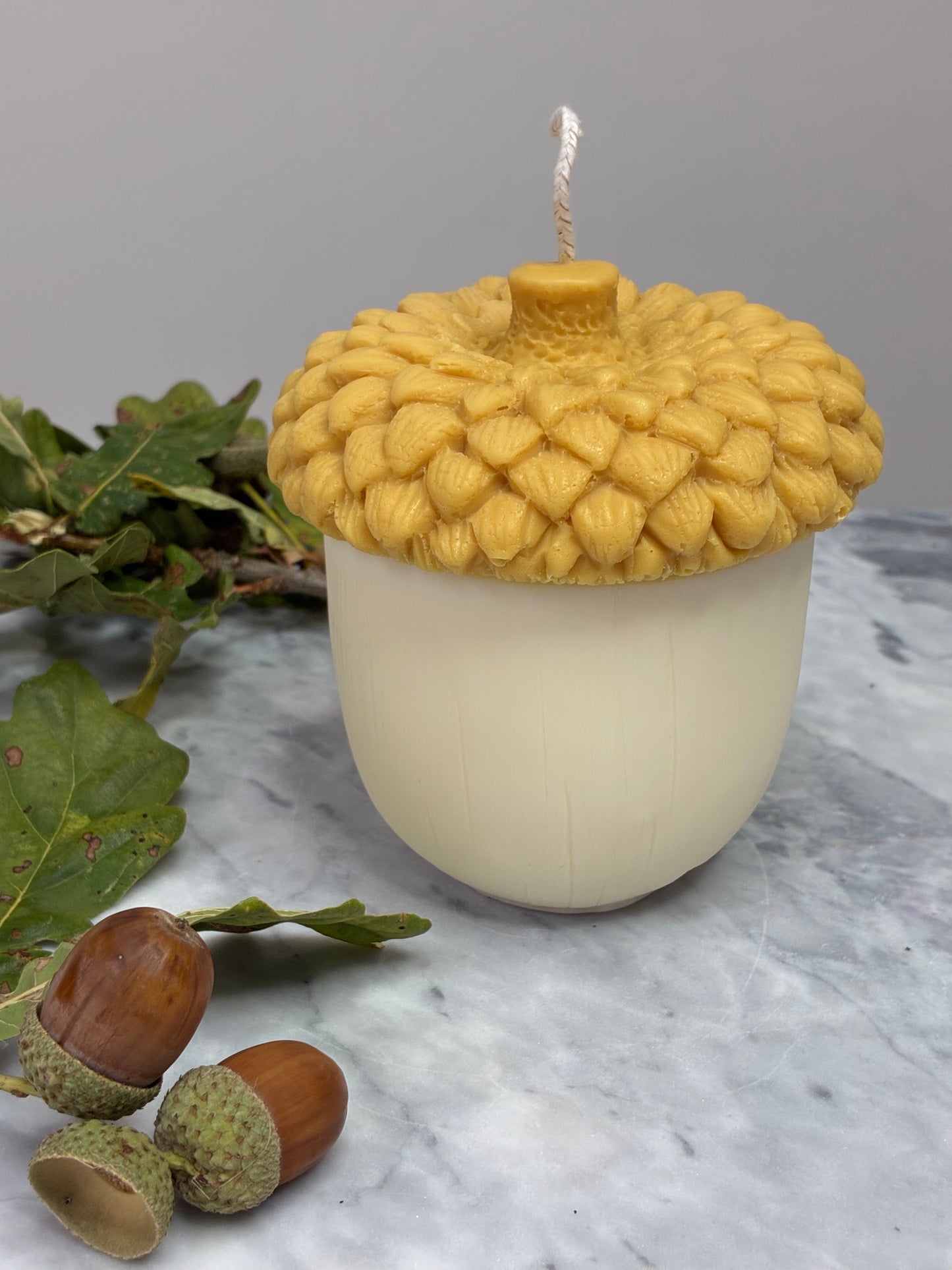 The Acorn