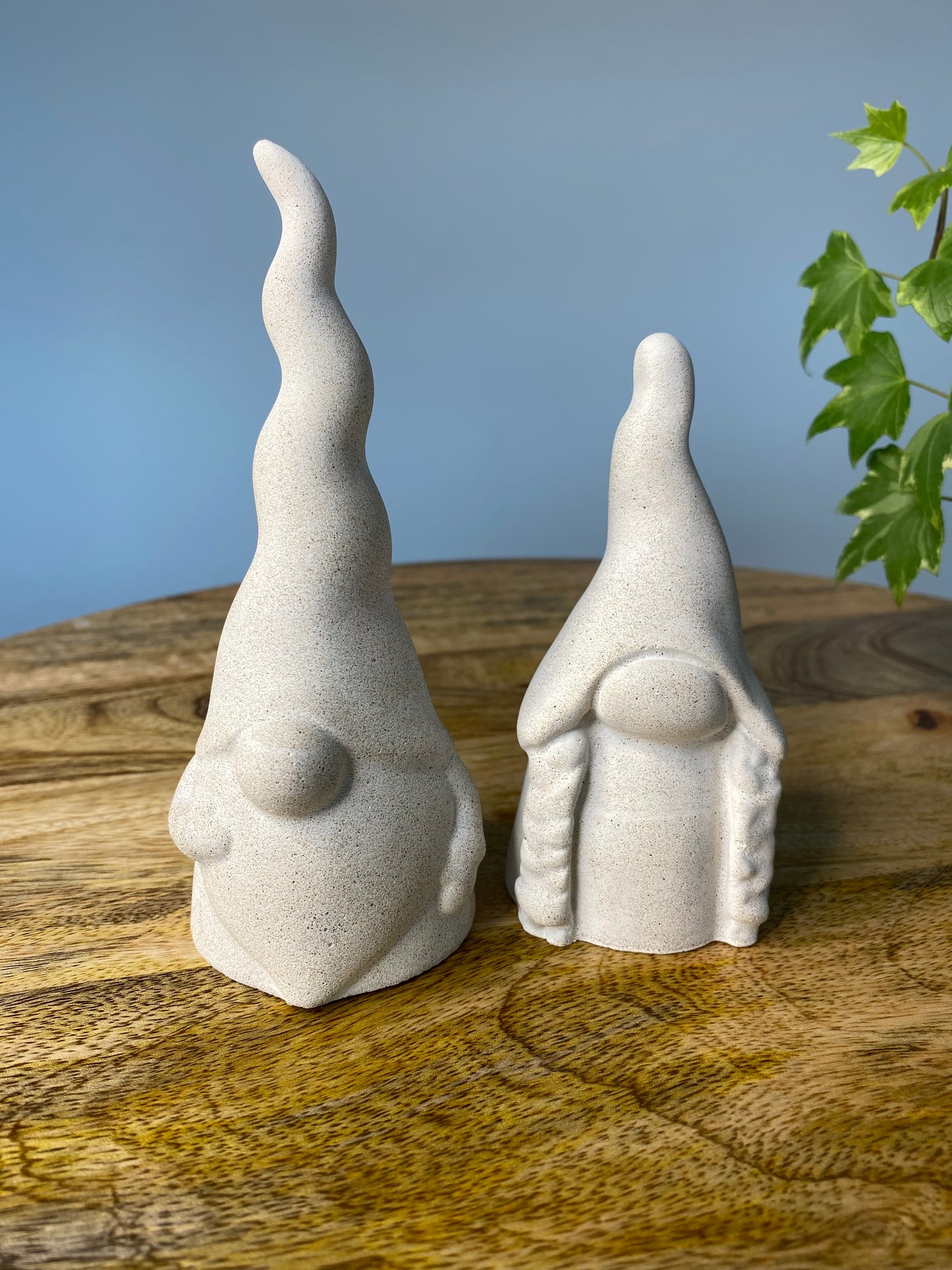 Mr and Mrs Gonk