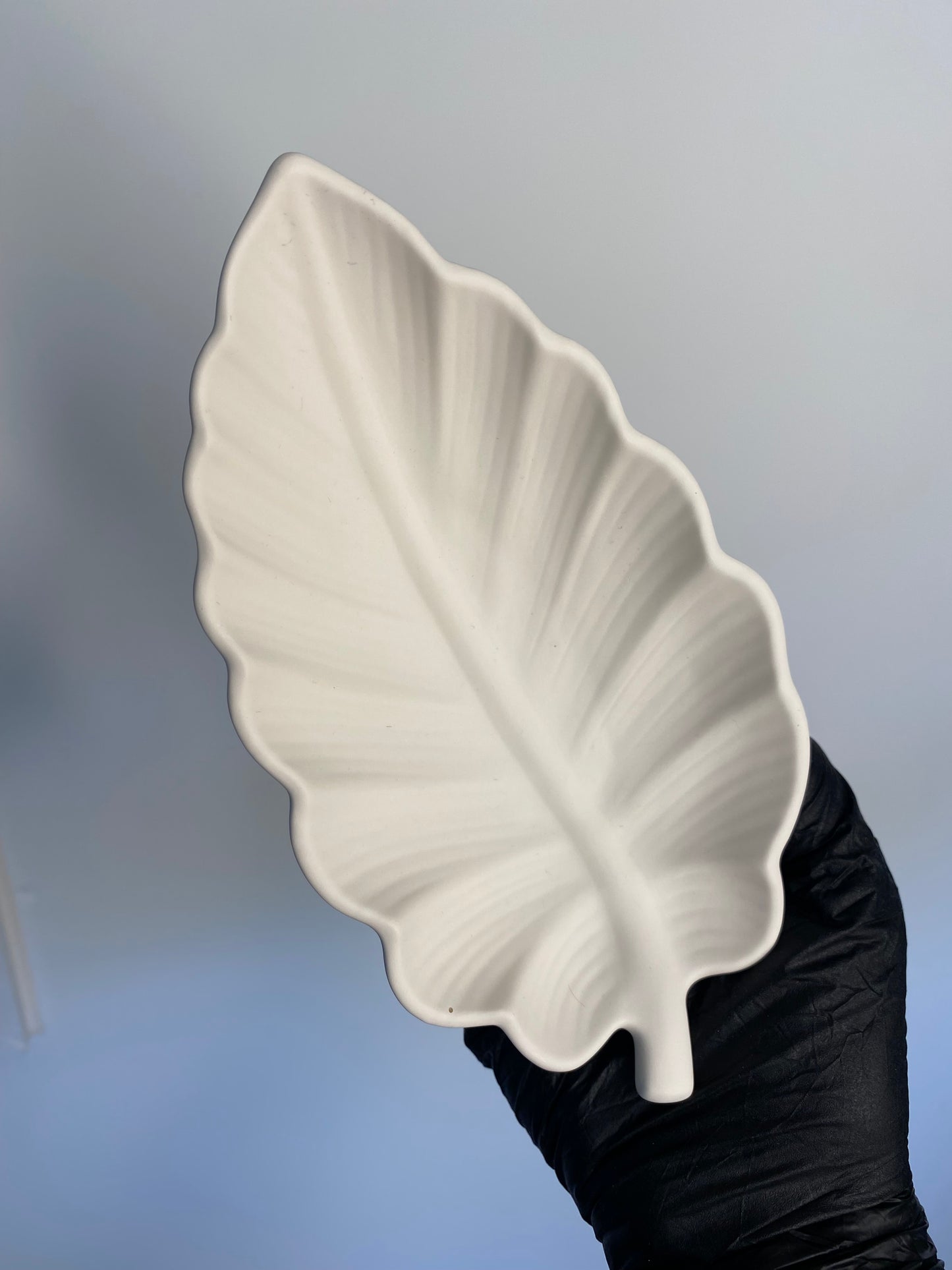 Elm Leaf Trinket Tray