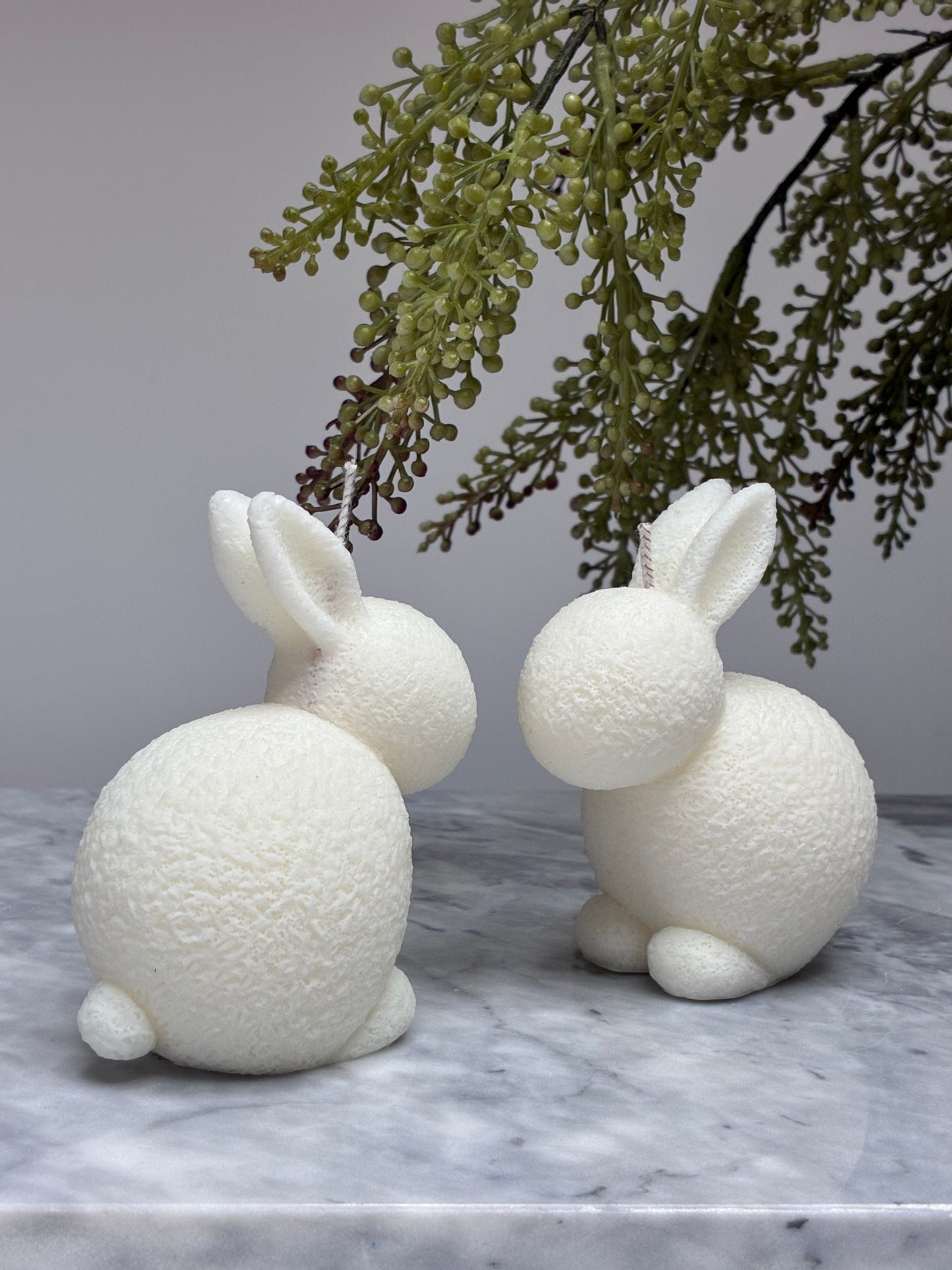 Easter Bunny Collection