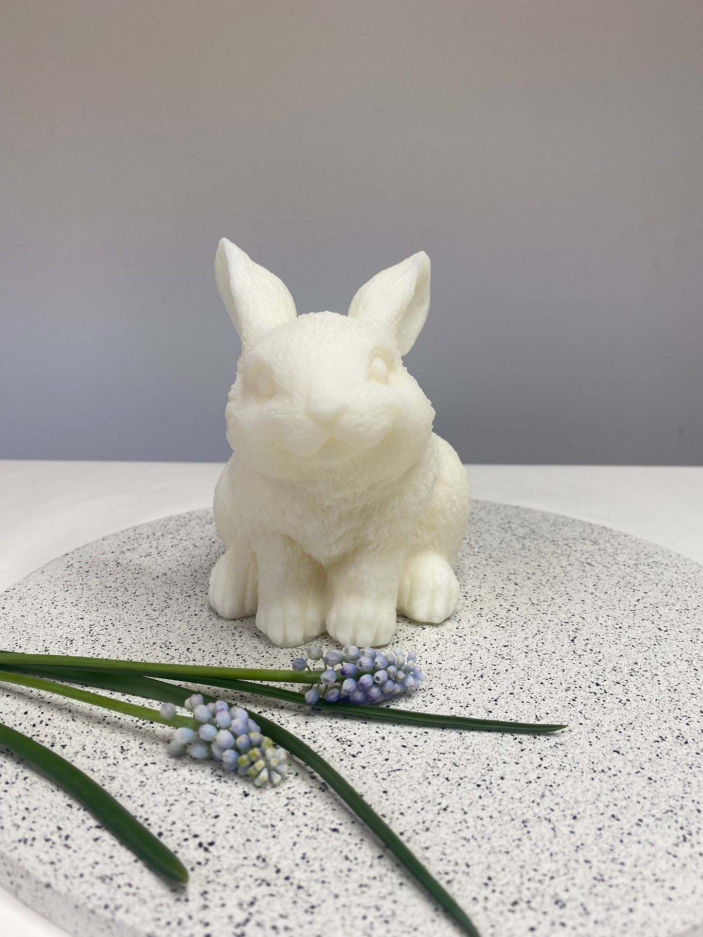 Brian the Bunny