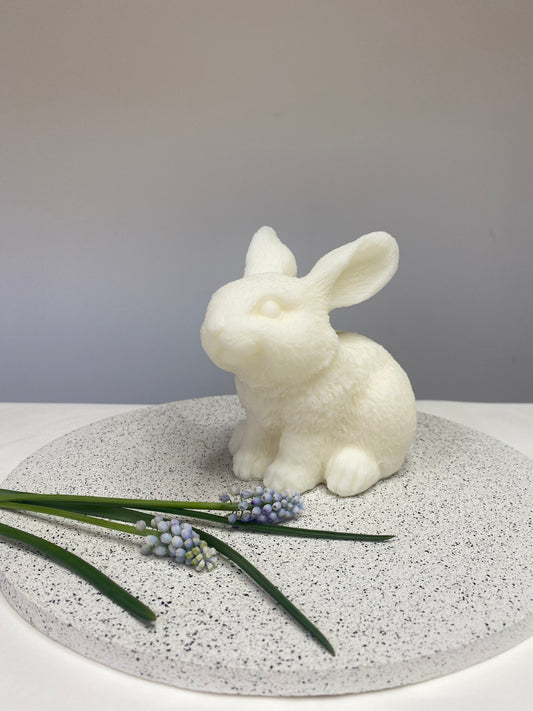 Brian the Bunny