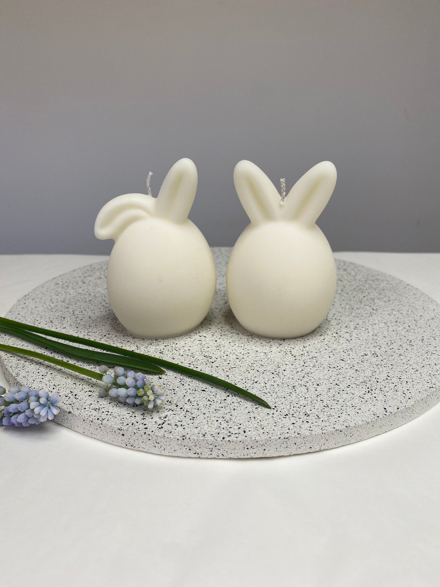 Easter Bunny Collection